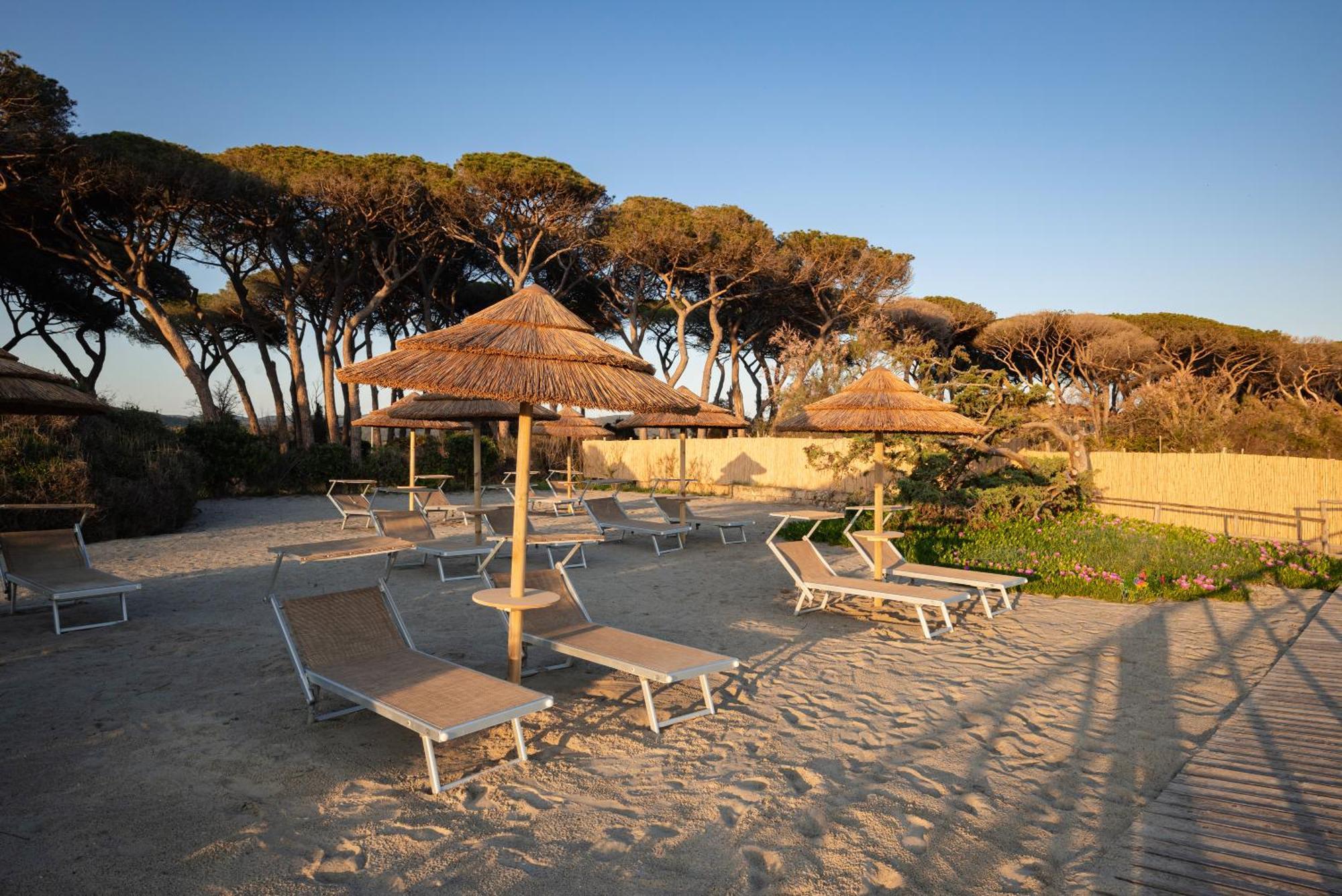 Torre Mozza - Dimora D' Epoca Hotel ฟอลลอนนีกา ภายนอก รูปภาพ